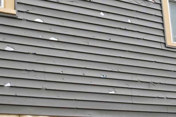 Best Moving and Downsizing Cleanouts  in Smith Mills, MA